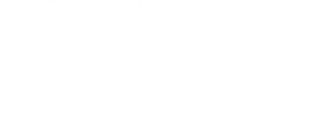 FastZone logotipoa